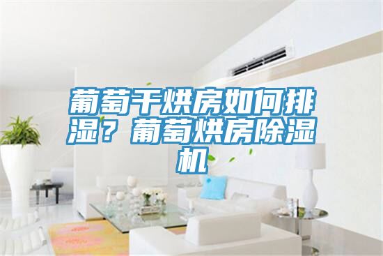 葡萄干烘房如何排濕？葡萄烘房除濕機