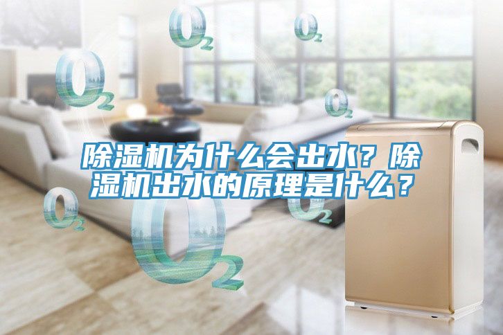 除濕機為什么會出水？除濕機出水的原理是什么？