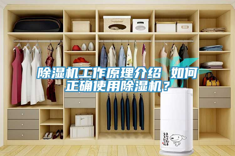 除濕機工作原理介紹 如何正確使用除濕機？