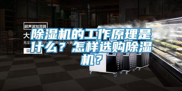 除濕機(jī)的工作原理是什么？怎樣選購(gòu)除濕機(jī)？